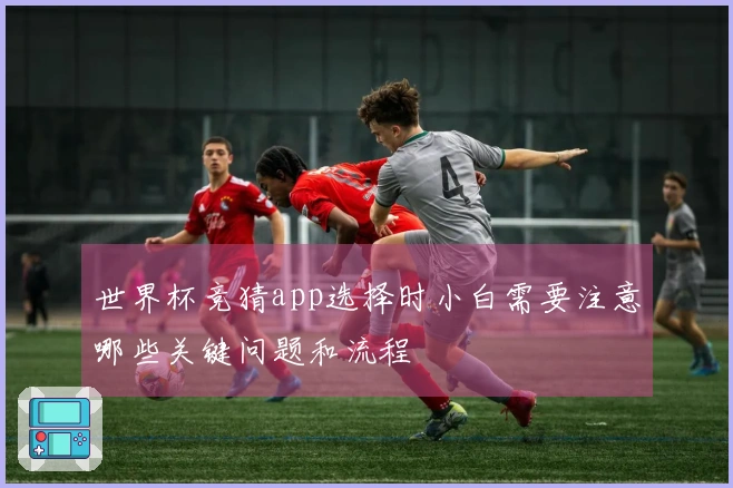 世界杯竞猜app选择时小白需要注意哪些关键问题和流程