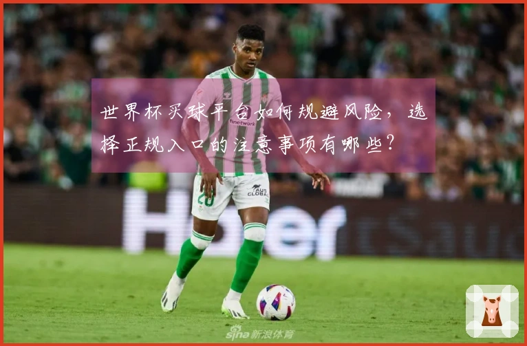 世界杯买球平台如何规避风险，选择正规入口的注意事项有哪些？