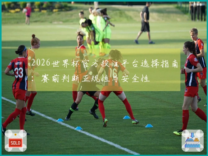 2026世界杯官方投注平台选择指南：赛前判断正规性与安全性